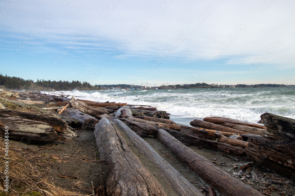 Wall mural Driftwood on the beach and big waves in the Salish Sea at Coburg Peninsual near Victoria, British Columbia, Canada