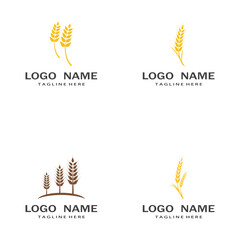 Agriculture wheat vector icon design