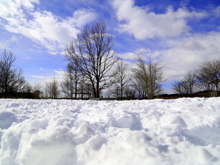 雪が降った翌日の青空