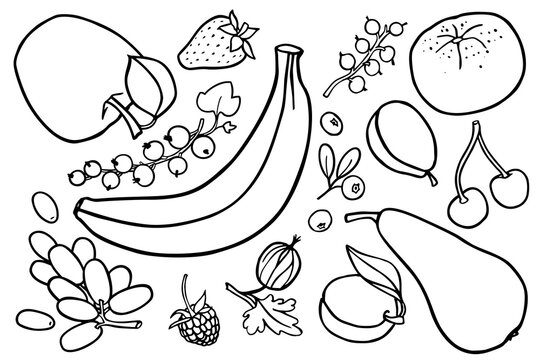 Coloring book with fruits images. Vector illustration.