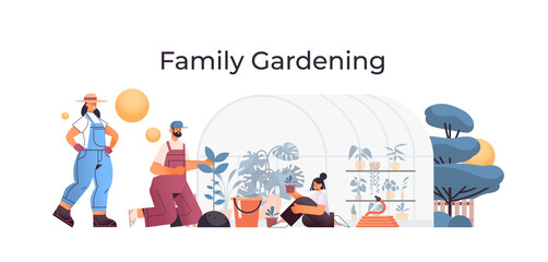 parents and daughter taking care of plants family working together in greenhouse gardening concept full length horizontal vector illustration