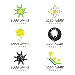 Obraz premium Edelweiss Logo Template vector symbol nature