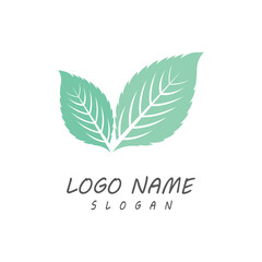 Leaf icon Vector Illustration design Logo template