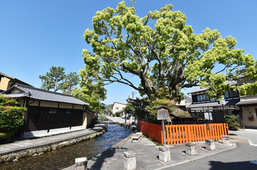 上賀茂神社　明神川と藤木社　京都市