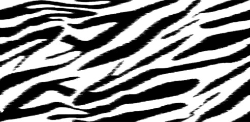 Fototapeta na wymiar Multi directional Zebra print repeat pattern. Stripe animals jungle tiger fur texture seamless repeating black and white skin.