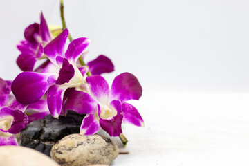 Purple orchid flower with stone are on white background