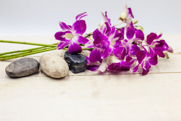 Fototapeta na wymiar Purple orchids are on white background