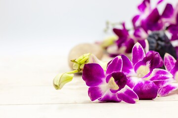 Purple Orchid Flowers are on white background with stone