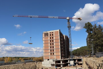 crane