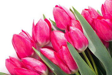 Fototapeta premium Pink tulips bouquet isolated on white background.
