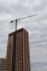 crane