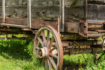 vintage cart on green grass on a summer sunny day