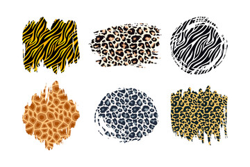 Hand drawn vector leopard, zebra, cheetah, tiger and giraffe textured ink brush strokes artistic backgrounds set. Paint spots with animal skin pattern texture. Stain shape design element © Ketmut