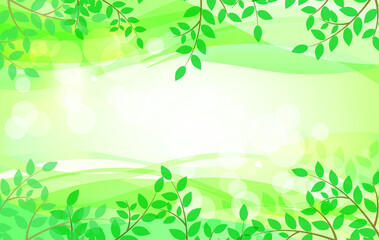 Obraz premium 葉と緑のグリーンのピュアな背景