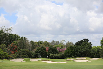 Fototapeta premium golf course in the summer