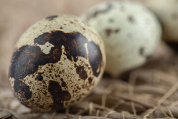 Obraz premium Macro photo of organic quail egg