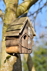 Wooden bird house on tree