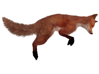 3d illustration of an realistic fox