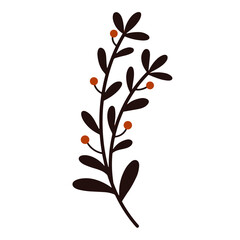Isolated vector image of a branch, with red berries. Botanical illustration, plant outline. Primitive.