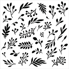 Fototapeta premium Set of hand drawn vector floral elements. Black leaves isolated on white background for invitations, greeting cards, blogs, web, wedding decor, posters.