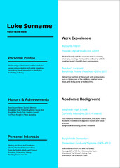 CV Resume Template