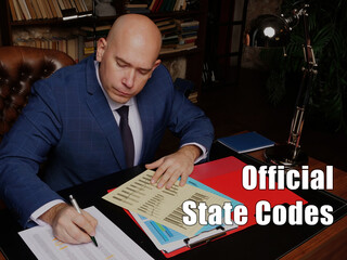  Official State Codes Businessman, executive manager hand filling paper business document