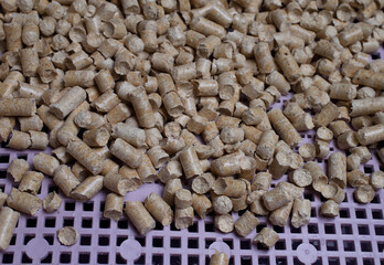 wood pellets in the cat's toilet