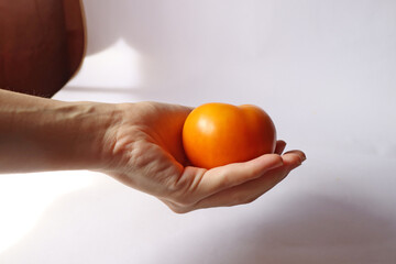 Hand holding  tomato. Orange ripe tomato close up focus. Home grown fresh organic vegetables fruits white background. 