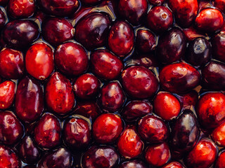 detail view of cranberries in water