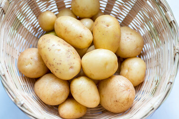 selective focus of potatoes in a bucket with white background.