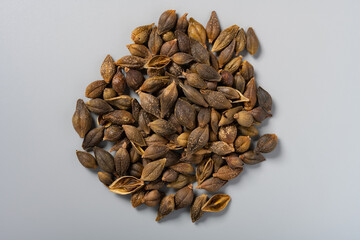 top view herb Lianqiao or Forsythiae Fructus or Weeping Forsythia Fruit