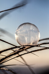 Fototapeta na wymiar Frozen Bubble - gefrorene Seifenblase