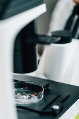 Microplastics, Laboratory Research