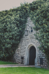Fototapeta premium Old brick wall entwined with ivy. green leaves plant on wall and green grass meadow. lantern hang above metal historical door. Wooden door in a stone wall entwined. The Wawel royal castle in Krakow.