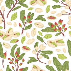 Seamless pistachio pattern with nuts, shells, branches and leaves. Endless texture with realistic pistaches on white background. Hand-drawn colored vector illustration for printing
