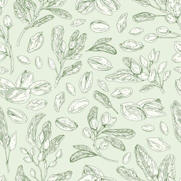 Seamless pistachio pattern with nuts, shells, branches and leaves. Monochrome design of endless monochrome background with pistaches. Hand-drawn colored vector illustration for printing