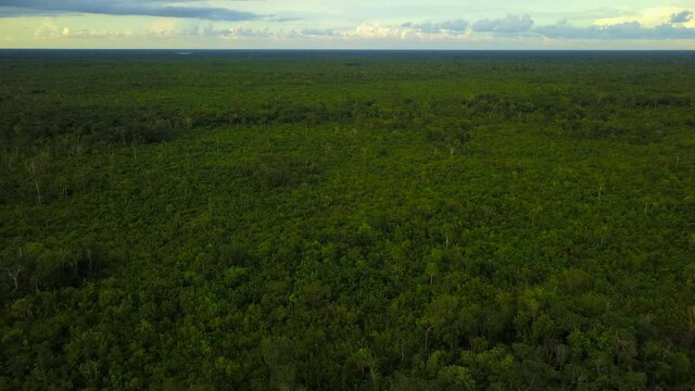 Puerto Morelos Forest Quintana Roo from a drone aerial view camera at daylight with clouds and horizon