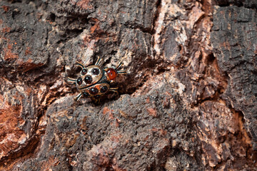 Bronze beetle in the background of a tree close-up