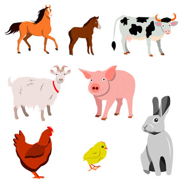 A set of farm animals. Vector isolated on a white background. Horse, foal, cow, Goat, pig chicken, chicken, Rabbit.