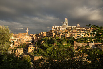 Fototapeta na wymiar View to Siena to cattedrale di Santa Maria Assunta evening after storm.