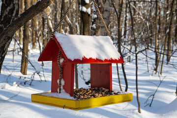 Wooden colorful bird feeder - 416693975