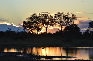 Sunset. botswana