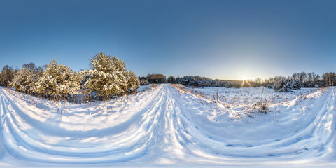 Winter full spherical hdri panorama 360 degrees angle view on snowdrift path in snowy pinery forest...