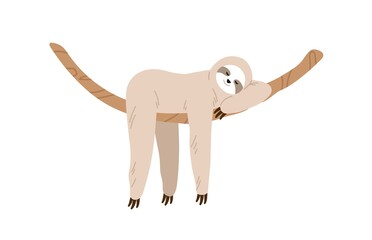 Cute and funny sloth hanging on tree branch and sleeping. Slow and lazy animal relaxing on liana. Baby character. Colored flat vector illustration isolated on white background