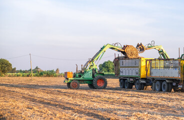 sugarcane harvester working in farm