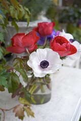 red poppies in a vase