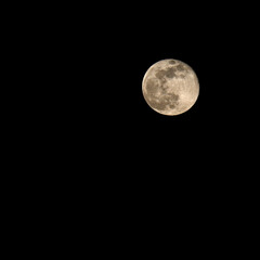 full moon in the black sky at midnight