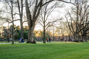 People Walking in National Mall During Sunset in Washington DC, USA. Scenery with Grass and Tall Bare Trees