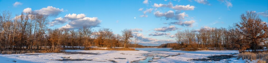 Fototapeta premium landscape with snow