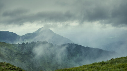 Mystical mountain landscape. Swirling fog over mountains and coniferous forest